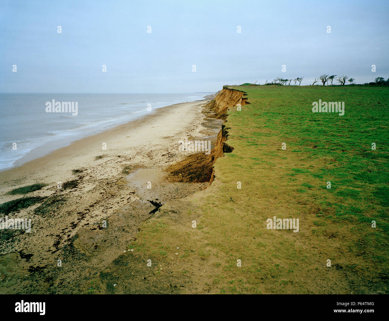 Covehithe Klippen von Benacre, Suffolk, Großbritannien Stockfoto