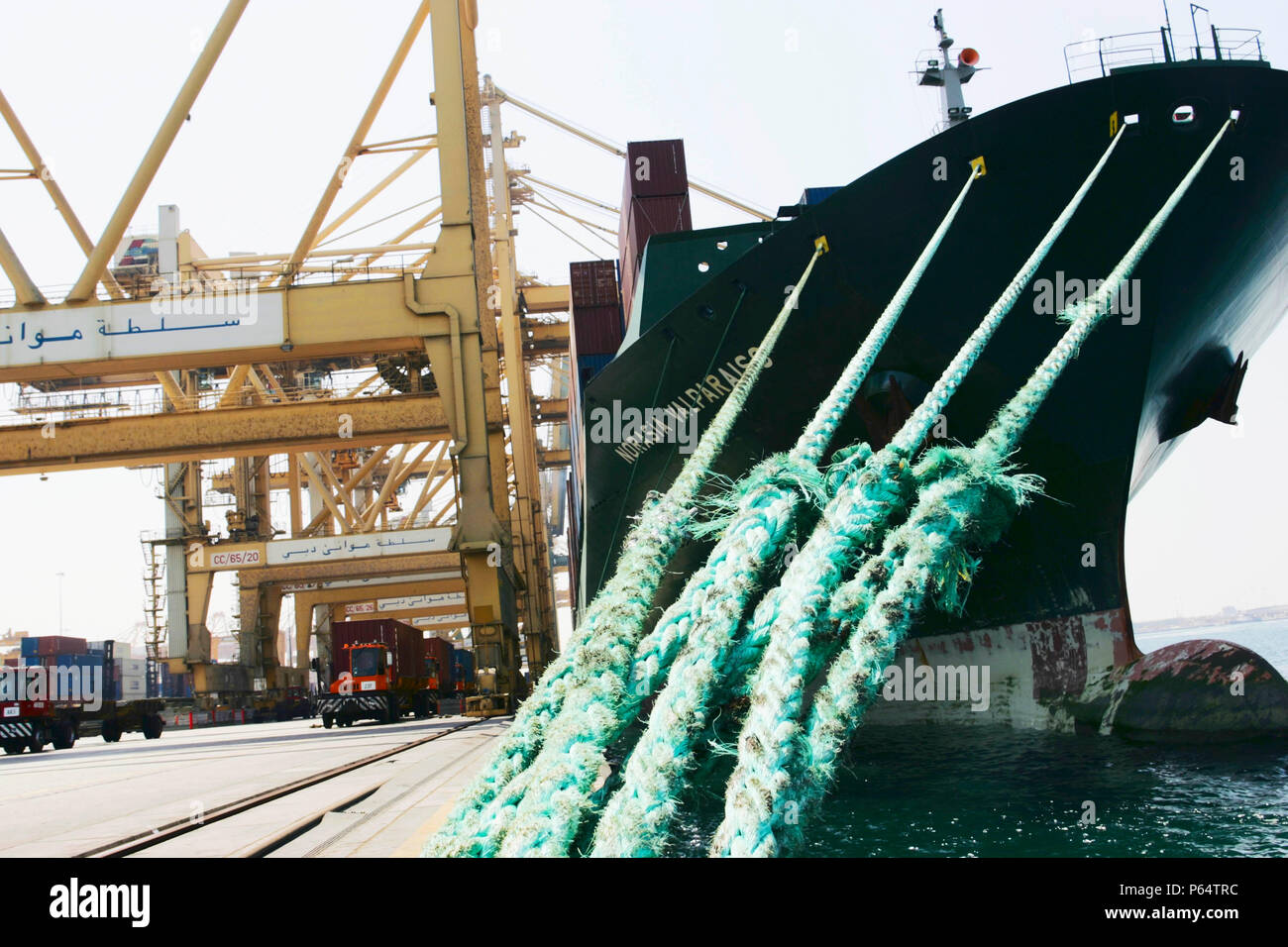 Containerschiff, Dubai Port Stockfoto
