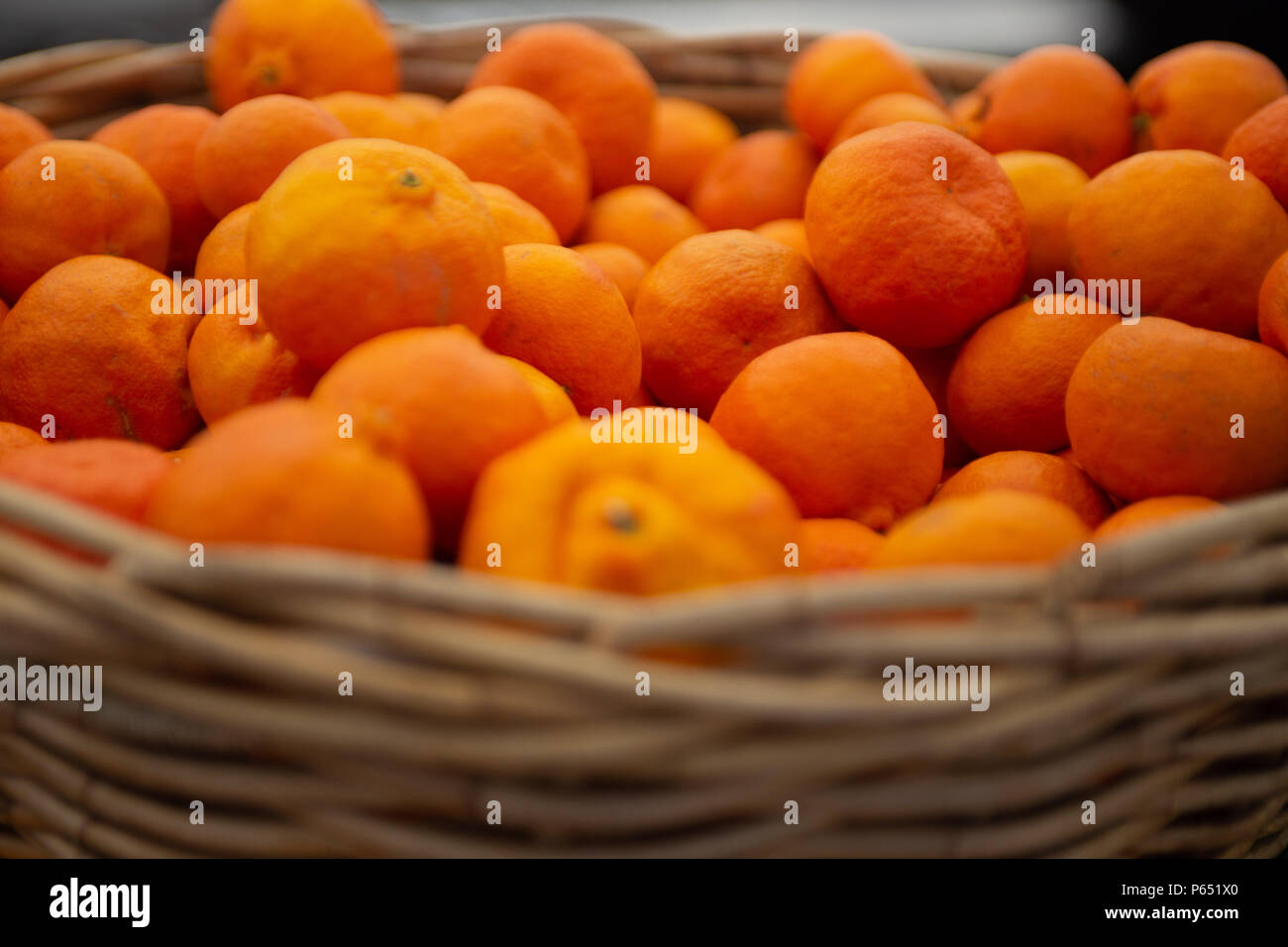 Weidenkorb von Orangen Stockfoto