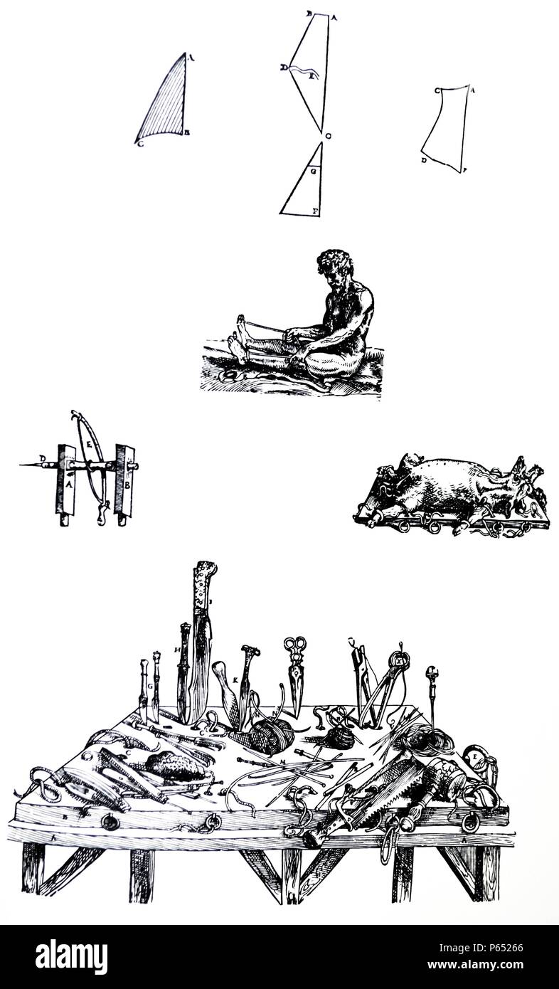Die Platten aus dem Zweiten Buch der "De Humani Corporis Fabrica von Andreas Vesalius (1514-1564) Platte 42 - In der vorliegenden Abbildung wir etwa sind die Seiten und die Art und Anordnung der Fasern der Muskeln, die wir hier beschreiben. Stockfoto