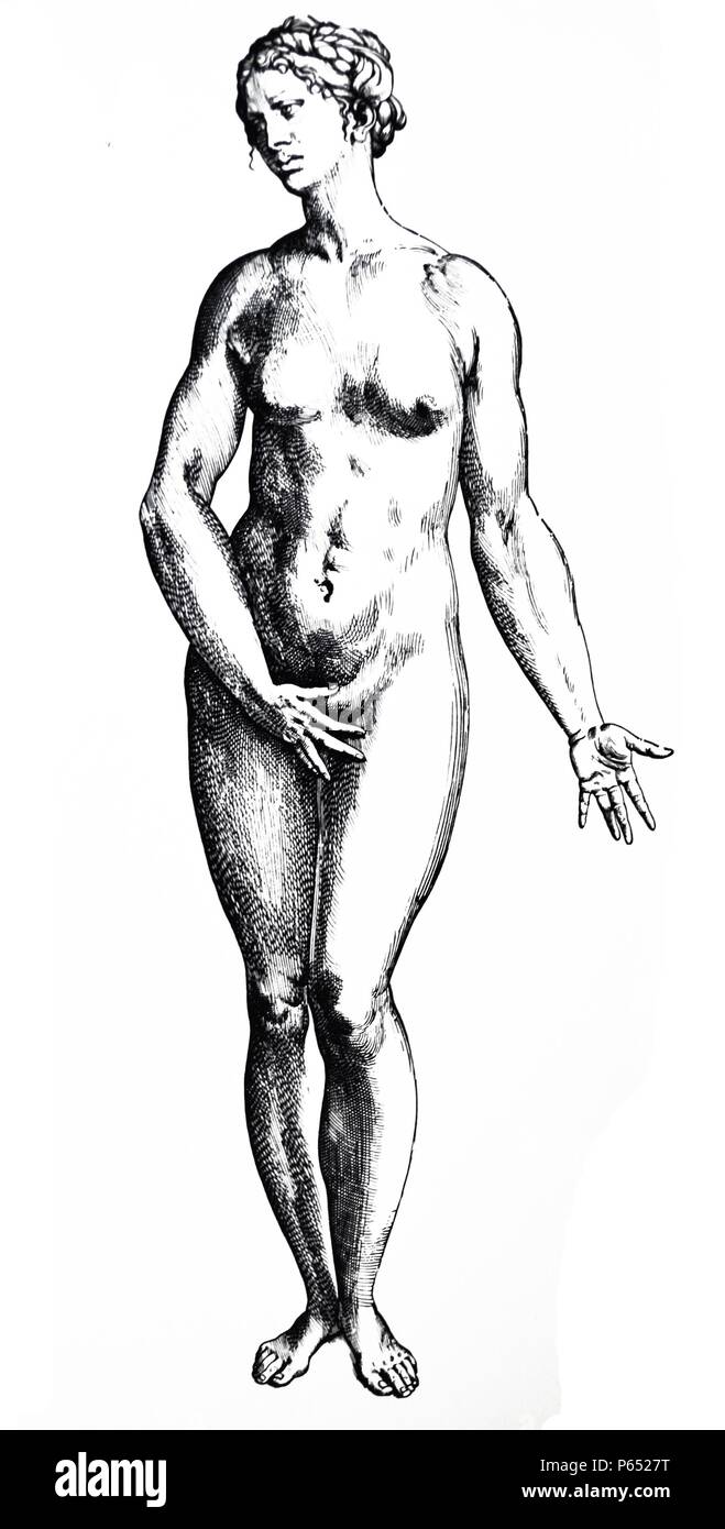 Die Platten aus dem Inbegriff der De Humani Corporis Fabrica von Andreas Vesalius (1514-1564) Platte 82 - Die Zahlen reproduziert in Platten 82-85 waren heraus zu schneiden und in der Konstruktion verwendet werden, durch Überlagerung von zwei Büsten, eines davon war die Topographie und die Beziehungen der Eingeweide in der weiblichen und in der männlichen zu zeigen. Stockfoto