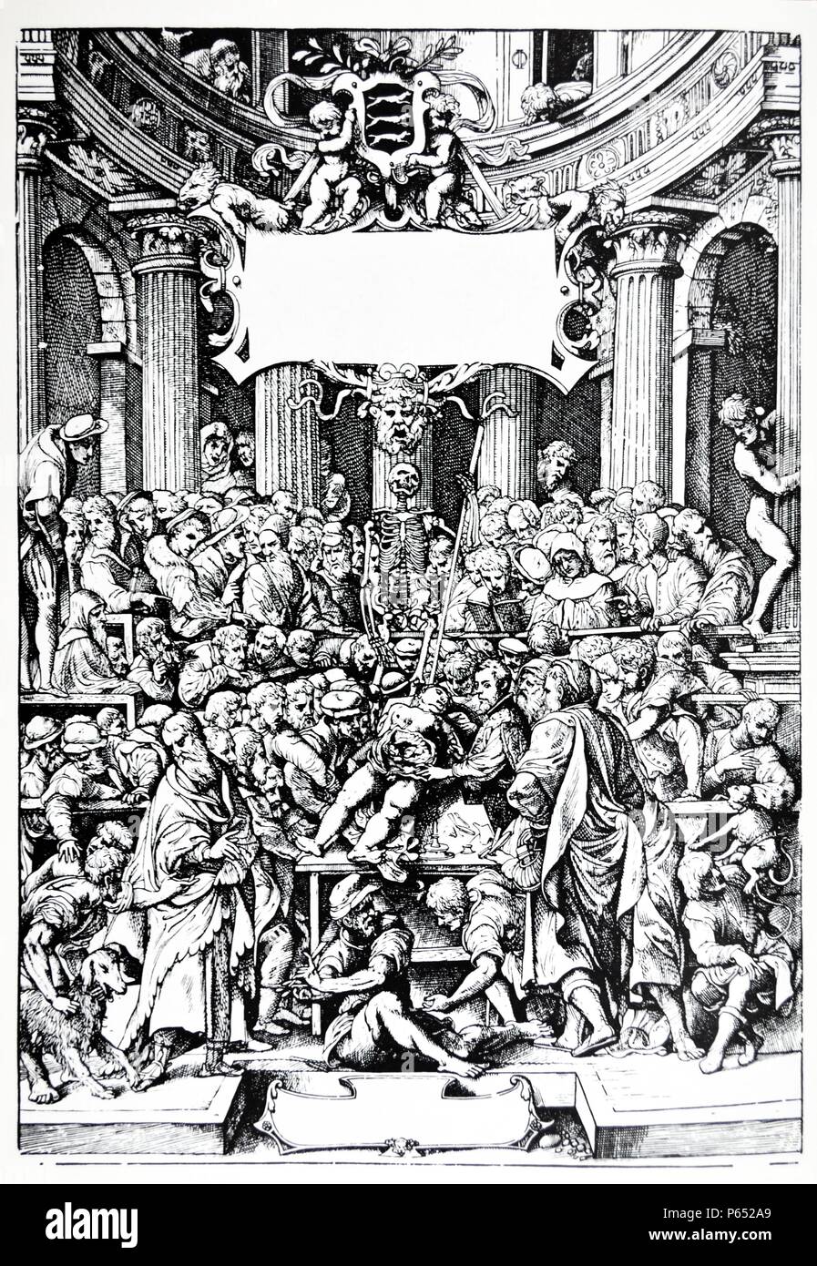 Die Platten aus dem Inbegriff der De Humani Corporis Fabrica von Andreas Vesalius (1514-1564) der frühen Entwurf für die Titelseite der ersten Ausgabe von "De Humani Corporis Fabrica" 1543. Stockfoto