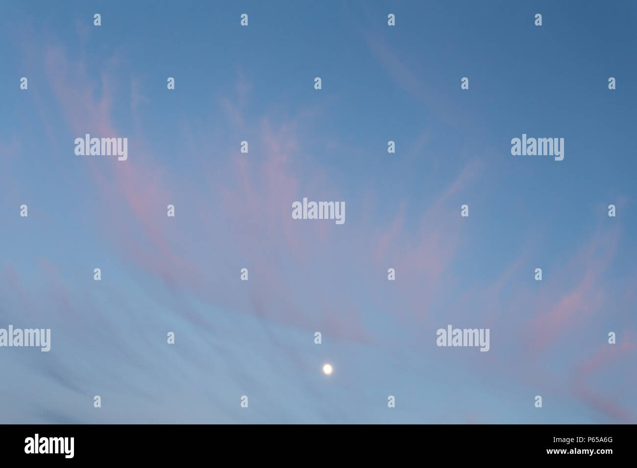 Mond bei Sonnenuntergang in den blauen Himmel mit rosa Wolken, windig Stockfoto