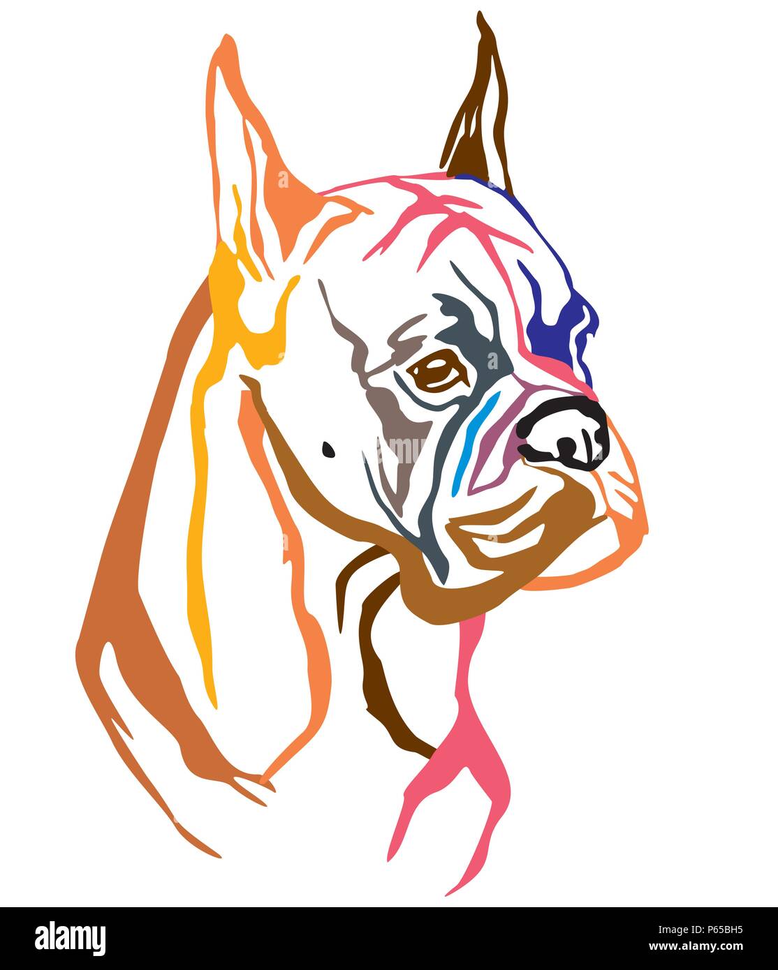 Bunt dekorativ Portrait von Hund Boxer, Vector Illustration in verschiedenen Farben auf weißem Hintergrund. Bild für Design und Tattoo. Stock Vektor