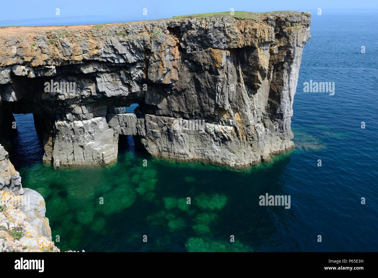 Stackplole Kopf Küste von Wales Pembrokeshire Coast Path Nationalpark Wales Cymru GROSSBRITANNIEN Stockfoto