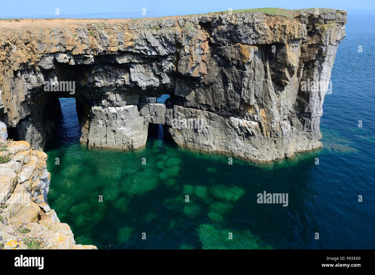 Stackplole Kopf Küste von Wales Pembrokeshire Coast Path Nationalpark Wales Cymru GROSSBRITANNIEN Stockfoto