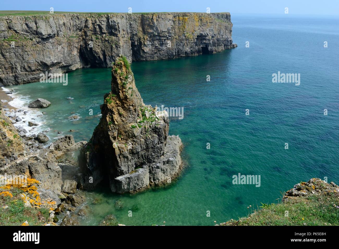 Stackplole Kopf Küste von Wales Pembrokeshire Coast Path Nationalpark Wales Cymru GROSSBRITANNIEN Stockfoto