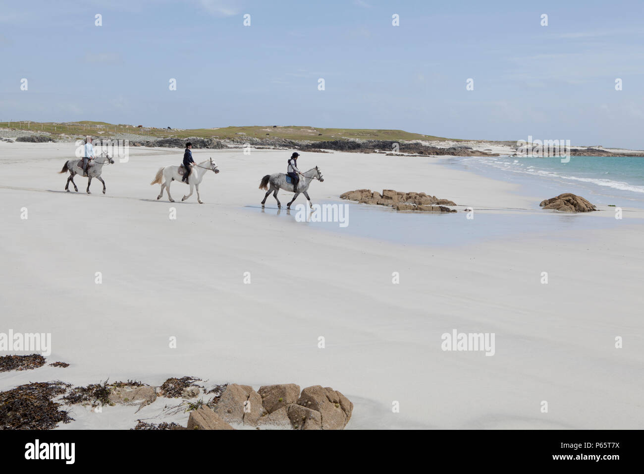 Ponyreiten auf dem unberührten weißen Sandstrand in der Nähe von Ballyconneely in Connemara, County Galway, Irland Stockfoto