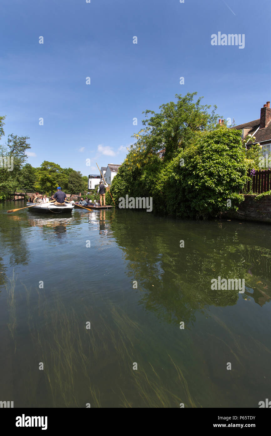 Stadt Canterbury, England. Malerische Sommer Blick der Touristen auf einer Stocherkahnfahrt der Great Stour, an der Canterbury Abbot's Mühle Garten. Stockfoto