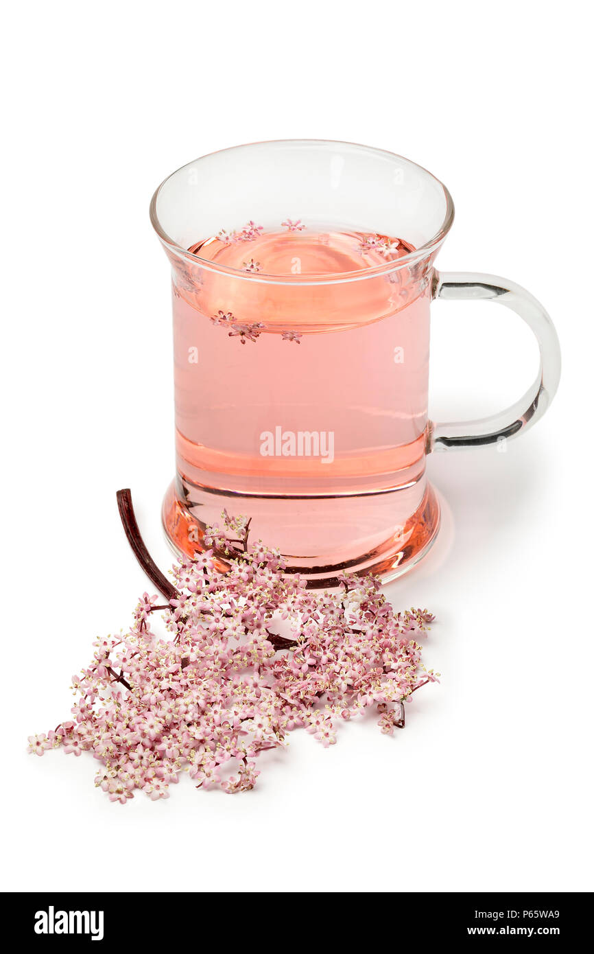 Glas mit rosa Holunder Blossom Tea auf weißem Hintergrund Stockfoto