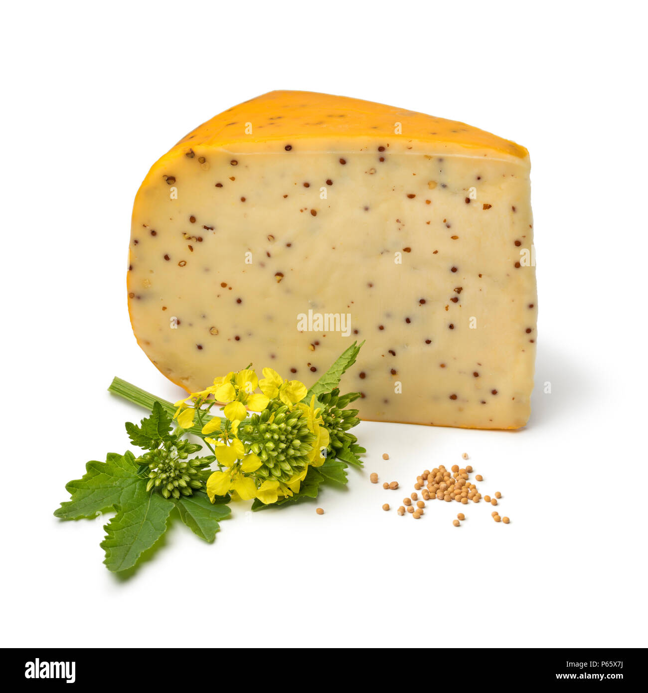 Niederländische jungen Senf Käse mit Blumen und Samen auf weißem Hintergrund Stockfoto