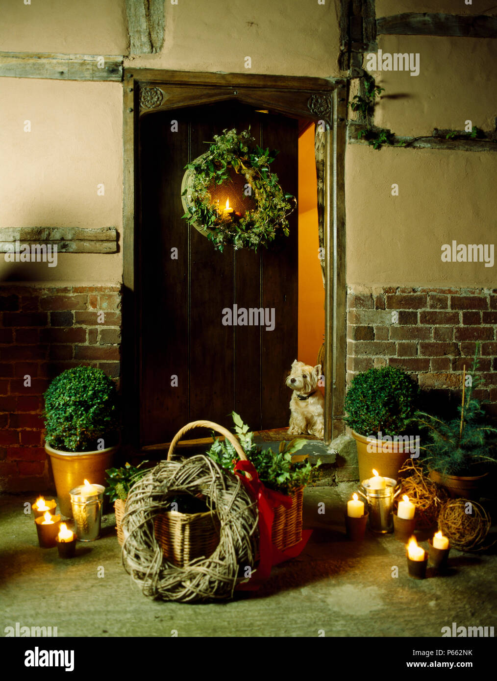 Abgeschnitten, in Töpfe und brennende Kerzen außer Haus mit kleinen Hund sitzen auf Schritt neben Eingangstür mit Weihnachten Kranz Stockfoto