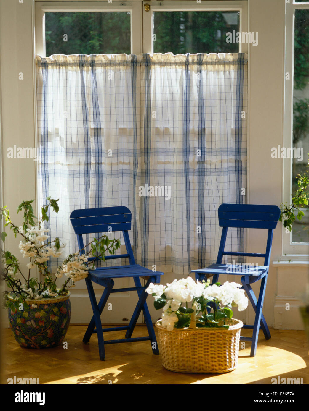 Blau lackierten Holzstühle vor Fenstern mit blau karierte Vorhänge Stockfoto