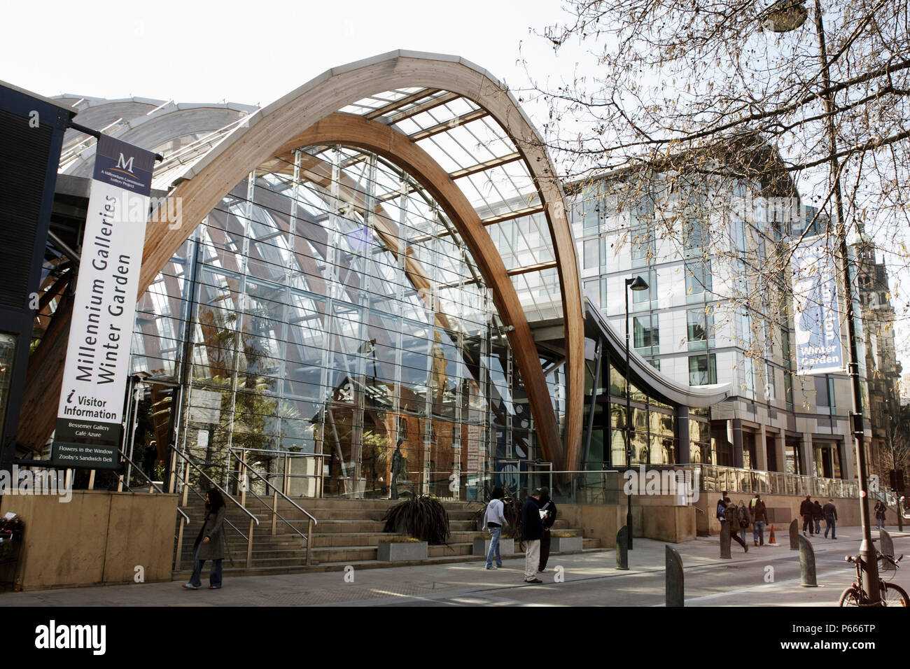 Wintergarten, Sheffield, Yorkshire und Humber, England. Stockfoto