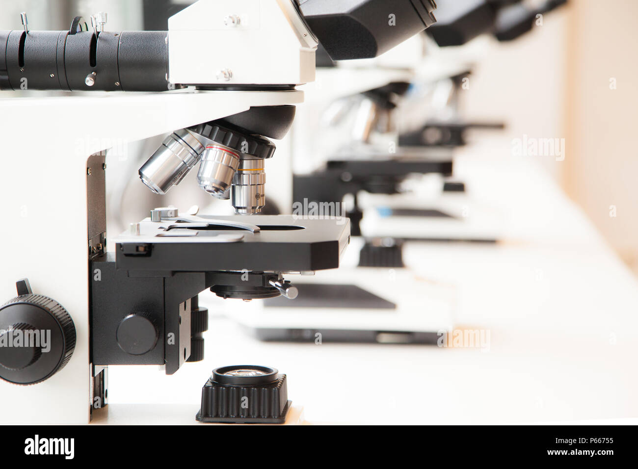 Wissenschaft Mikroskope henkes lolland Labour Research Science Laboratory microskop Demenz Stockfoto