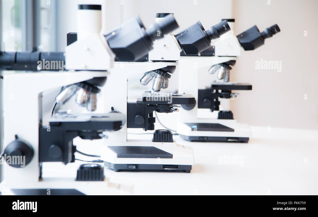 Wissenschaft Mikroskope henkes lolland Labour Research Science Laboratory microskop Demenz Stockfoto
