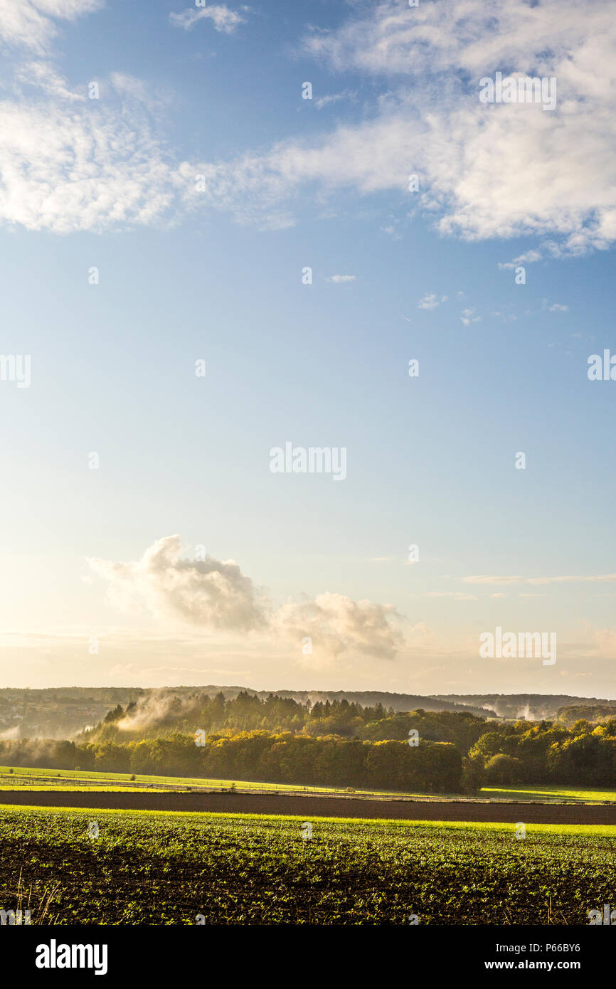 Nachmittag Sonne, blauer Himmel und Wolkenformationen über landwirtschaftliche Felder und Wälder im späten September, Luxemburg, Mitteleuropa Stockfoto