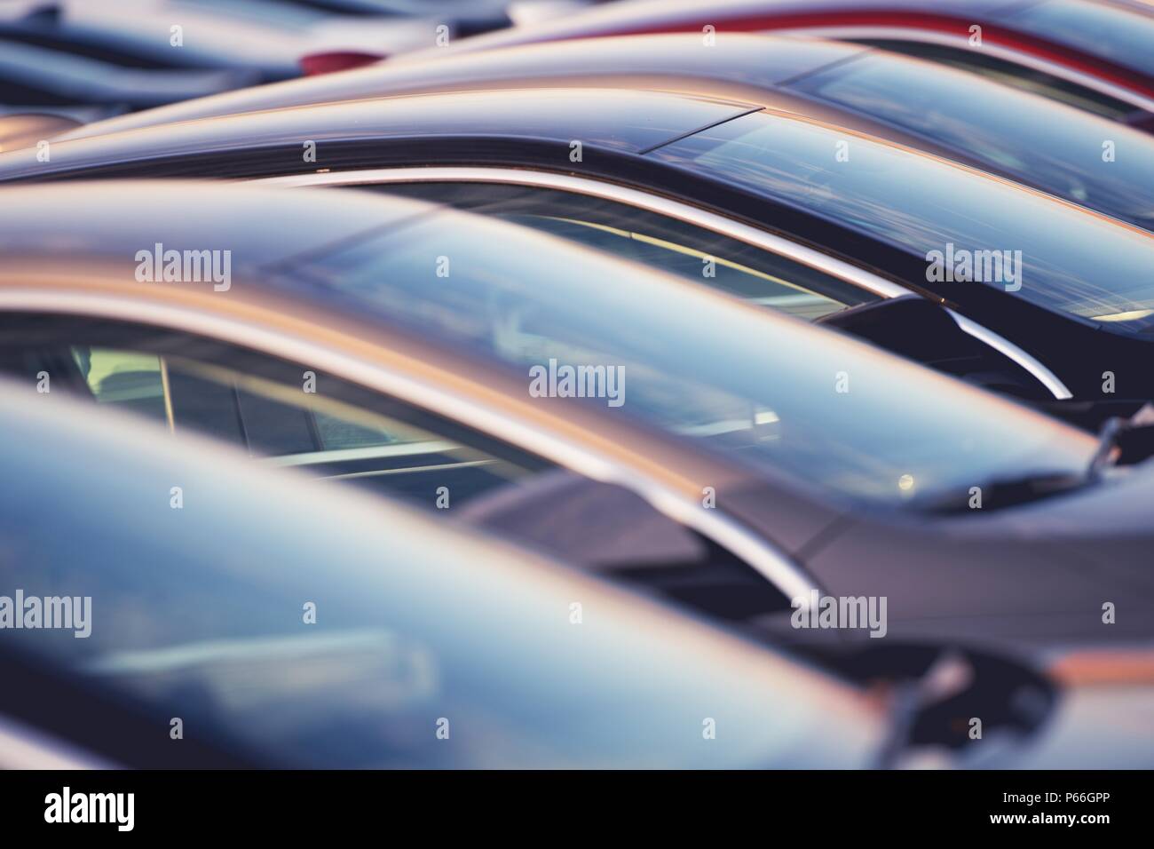 Neue Autos in einer Reihe auf der Händlerniederlassung Parken. Auto Vertrieb Industrie. Stockfoto