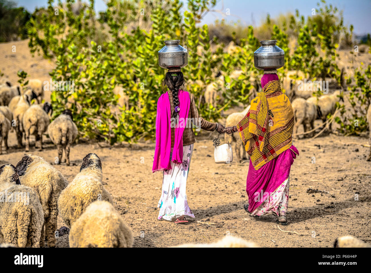 Indien Rajasthan Thar Wüste Frauen Sammeln von Wasser aus dem Brunnen Stockfoto