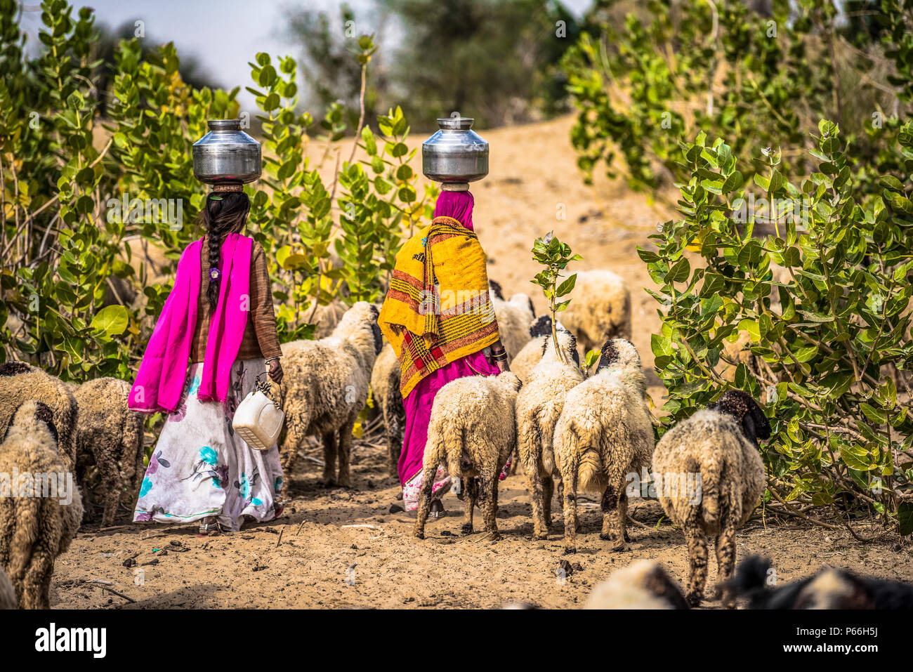 Indien Rajasthan Thar Wüste Frauen Sammeln von Wasser aus dem Brunnen Stockfoto