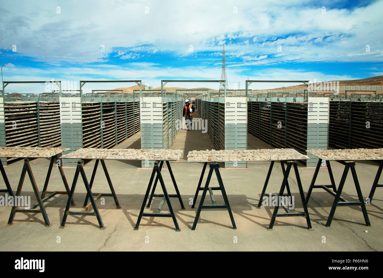 Inspektor zu Fuß durch Drill Core Sample Bank in der Escondida Chile. Escondida ist die größte Mine Kupferproduzent der Welt Stockfoto
