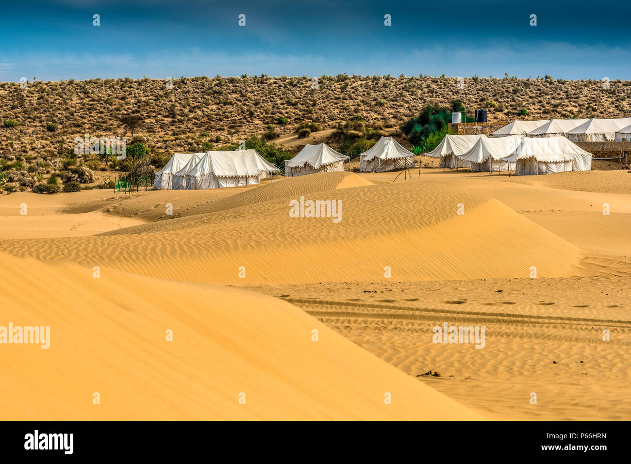 Indien Rajasthan Thar Wüste Stockfoto