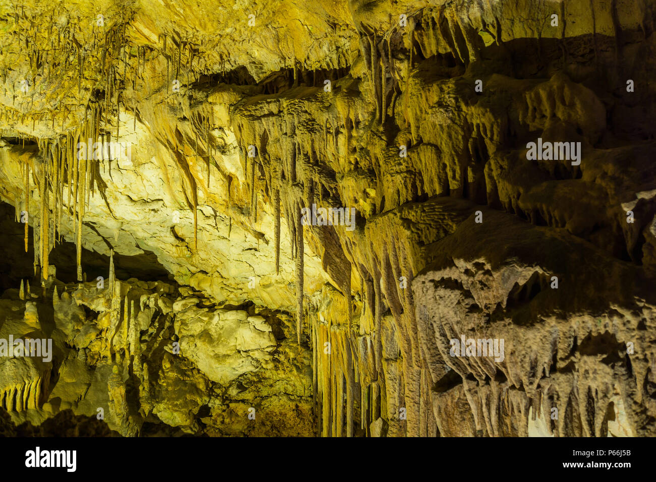 Mallorca, Alte stalagmit Kalksteinen, die in den Höhlen von Drach Stockfoto