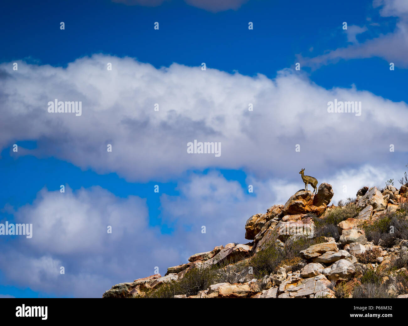 Eine Klippe Jumper auf einen Felsen mit schönen Himmel im Hintergrund Stockfoto