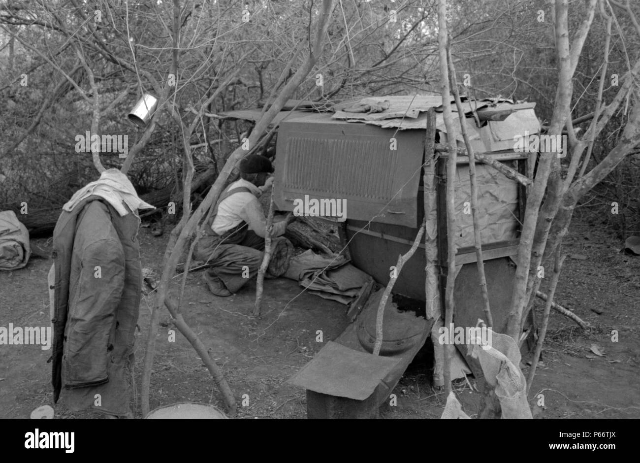 Weiße Wanderarbeiter leben in Lager mit zwei anderen Männern, die auf mageren, welches seine schlafende zu vierteln. In der Nähe von Harlingen, Texas 1939 Stockfoto