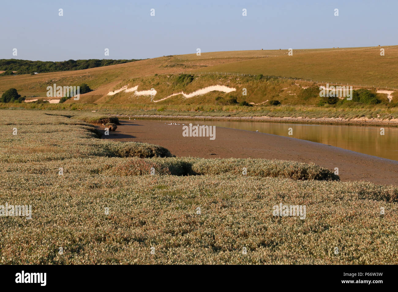 Kreidelinie entlang Cuckmere Haven Fluss Stockfoto