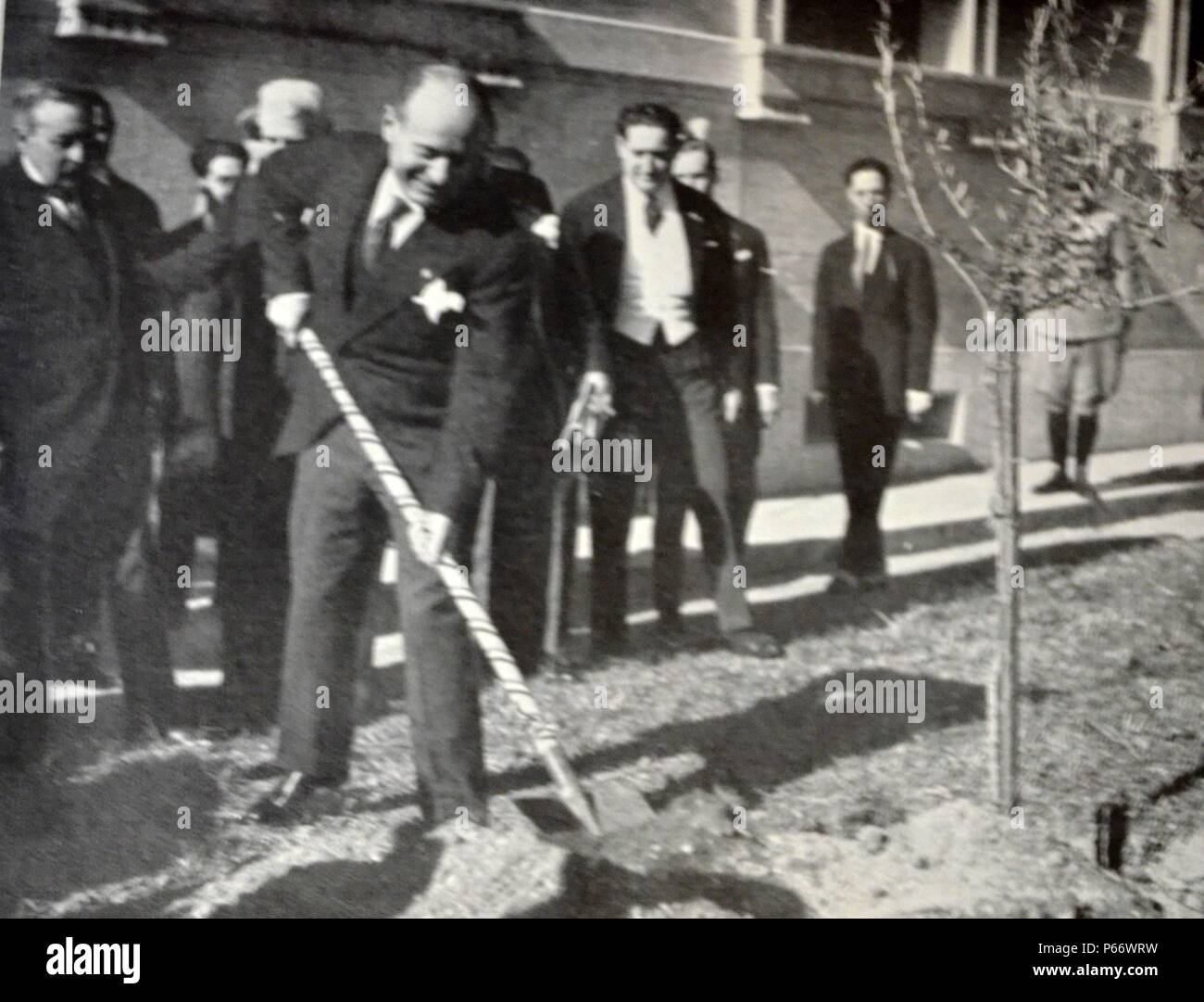 Rom - Einweihung des Internationalen Kongresses der Landwirtschaft. S. Â E. Mussolini Pflanzen einen Olivenbaum. Stockfoto