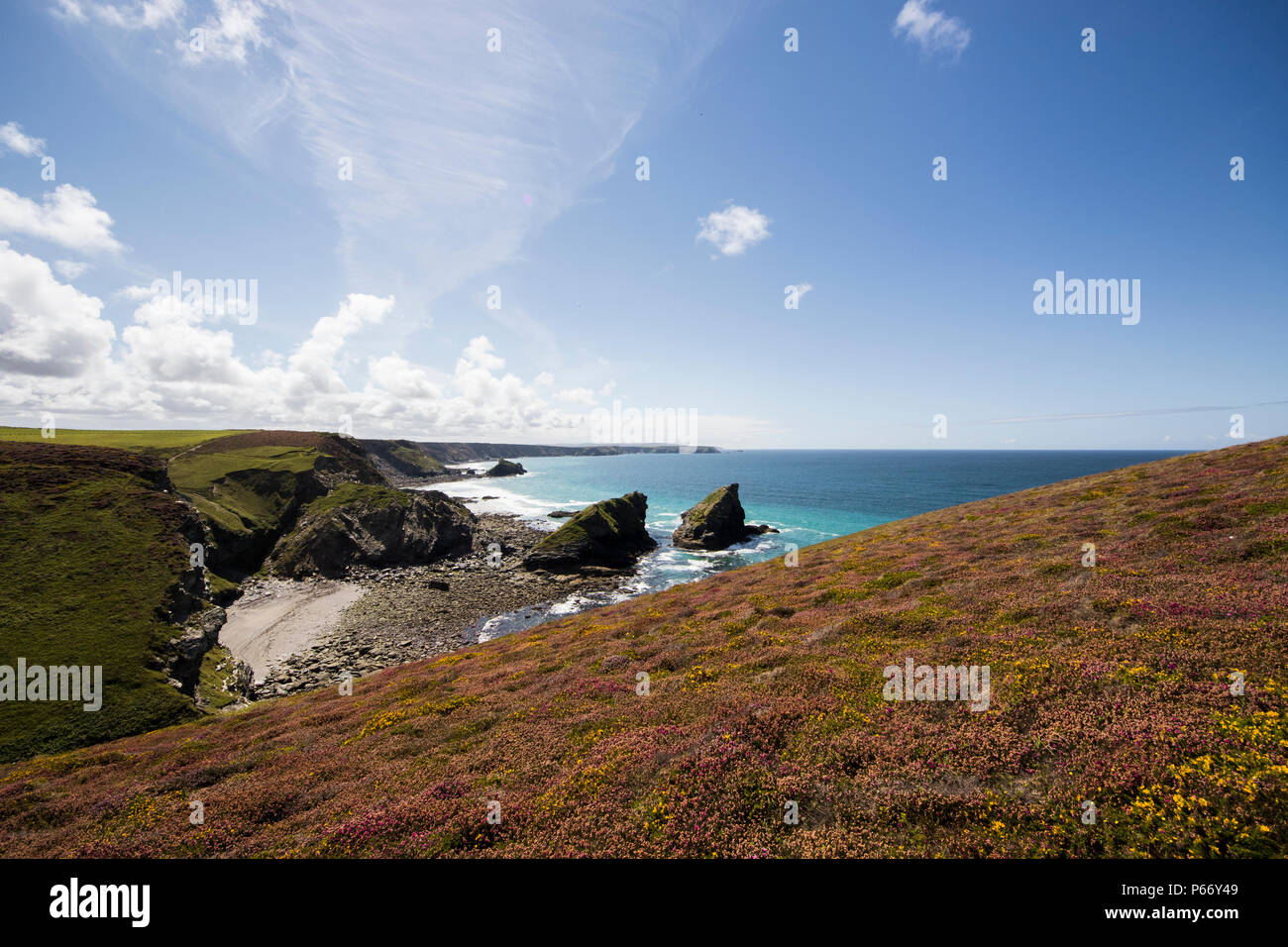 Nordküste von Cornwall im Sommer Stockfoto