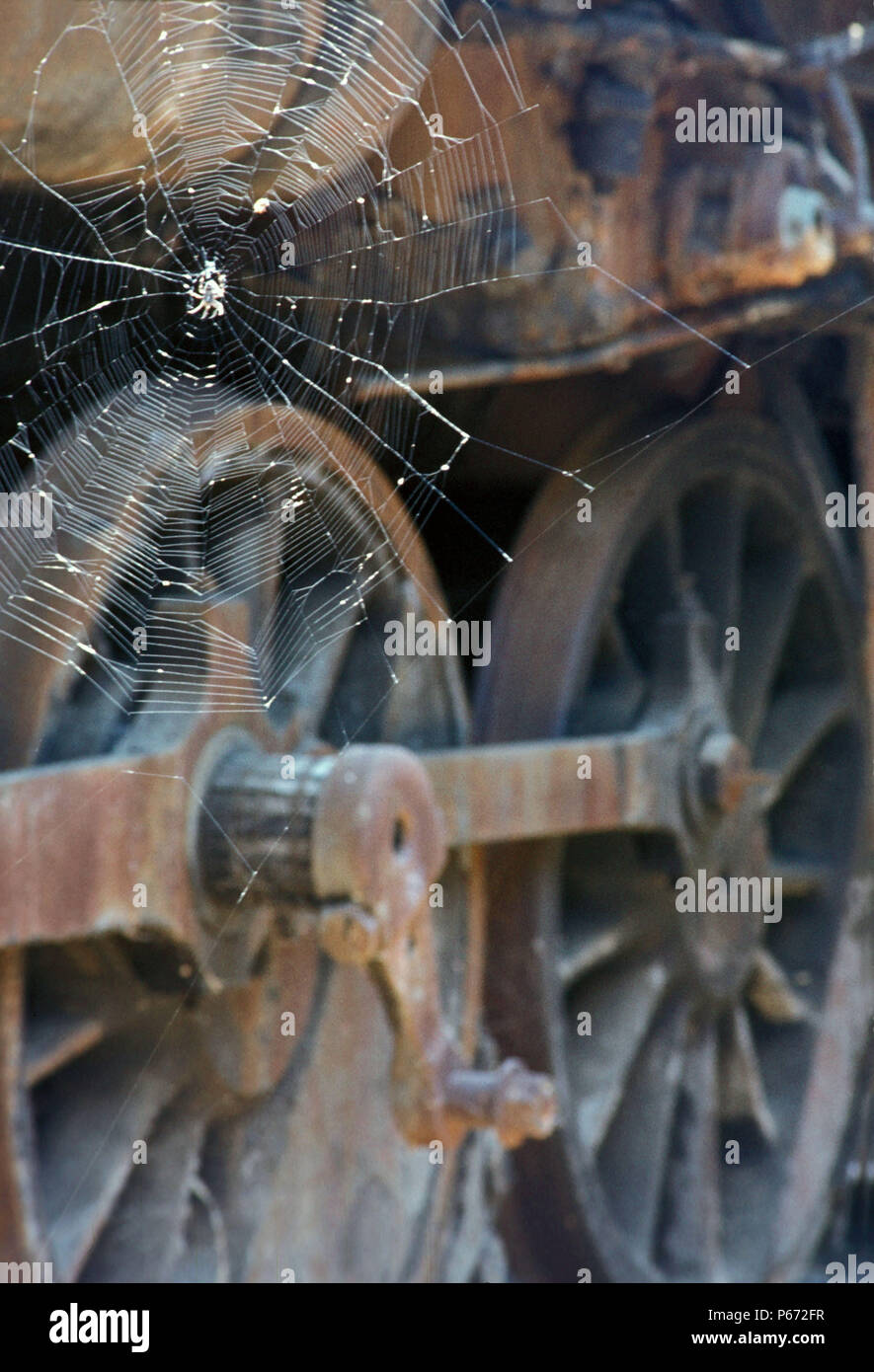 Eine Spinne ist eine hervorragende Web um die antriebsräder einer Lokomotive in Thessaloniki Griechenland 1982 aufgegeben. Stockfoto
