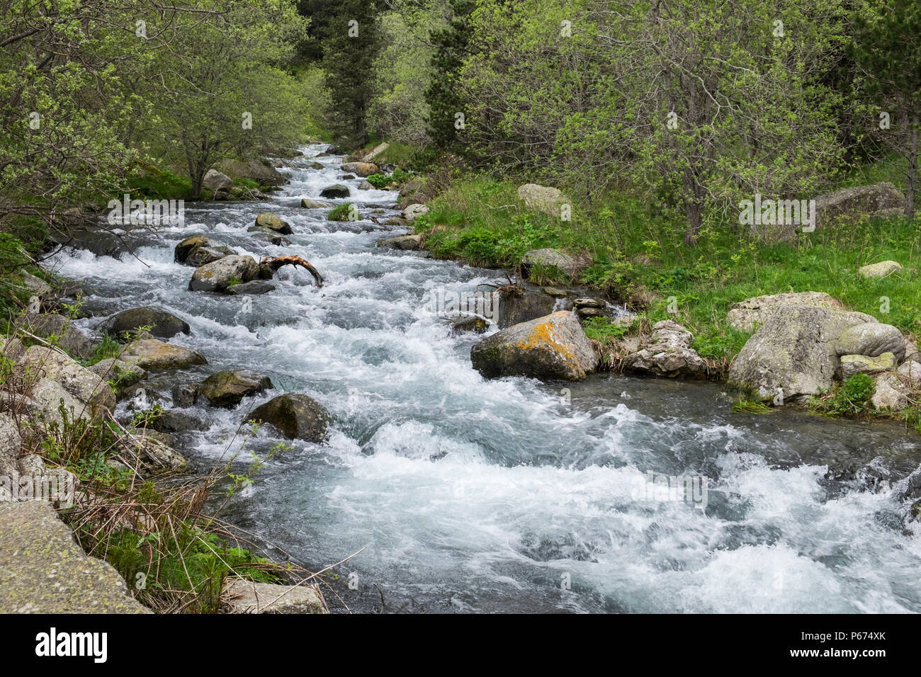 Die Rio de Nuria Fluß fließt das Vall de Nuria in Richtung de Fresser im Pyreneean Berge, Katalonien, Spanien Stockfoto