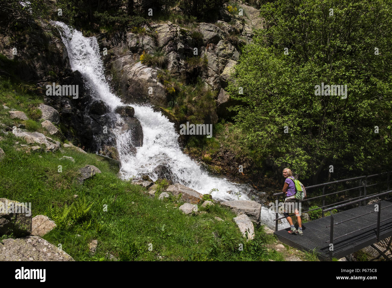 Salz de Fontalba Wasserfall an dem Punkt, wo sie den Rio de Nuria Fluss im Tal Vall de Nuria, Katalonien, Spanien Stockfoto