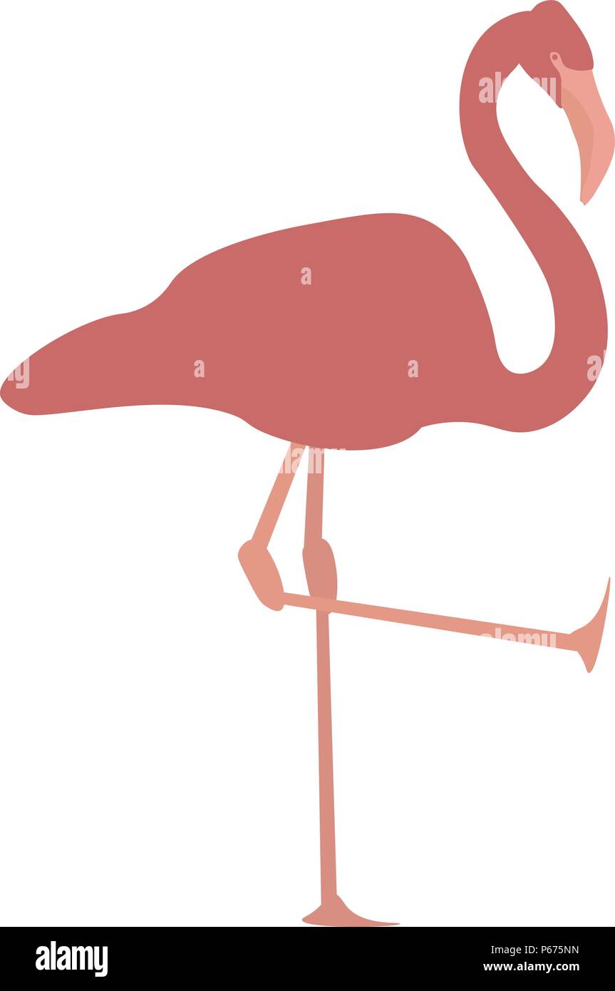 Vektor Bild einer rosa Flamingo steht auf einem Bein, mit dem anderen Bein in der Luft. Jeden Körperteil ist auf einem separaten Layer. Stock Vektor