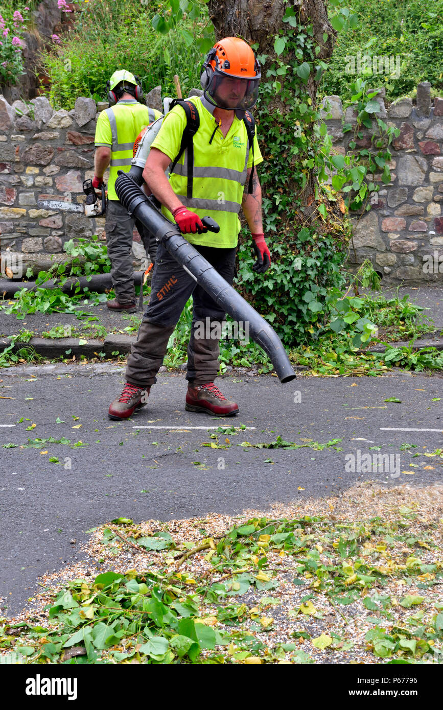 Mann, Baum Chirurg, mit laubbläser Wenn nach Baum- aufräumen Stockfoto