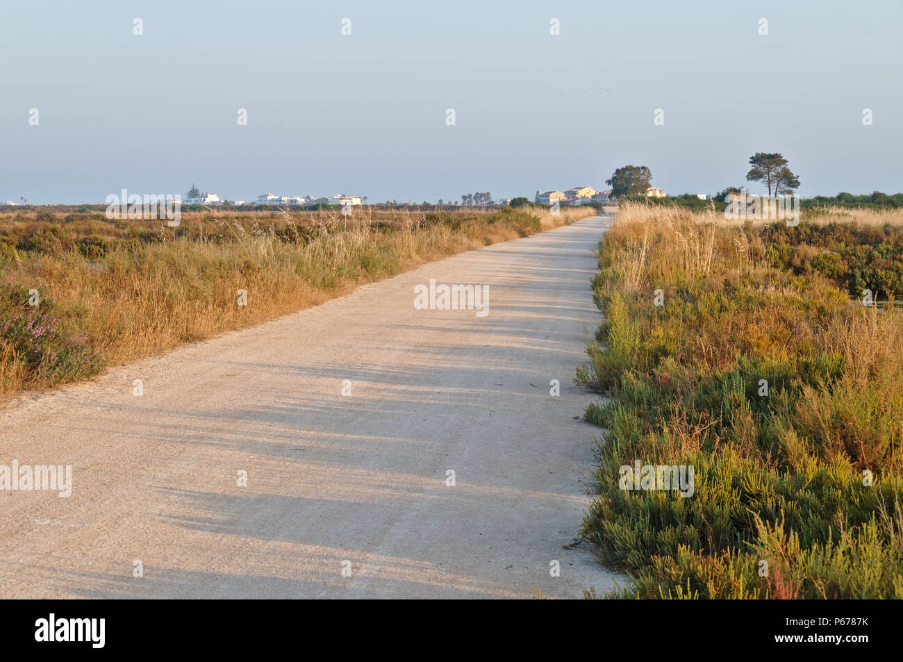Unbefestigte Straße Ludo im Ria Formosa Naturpark. Algarve, Portugal Stockfoto