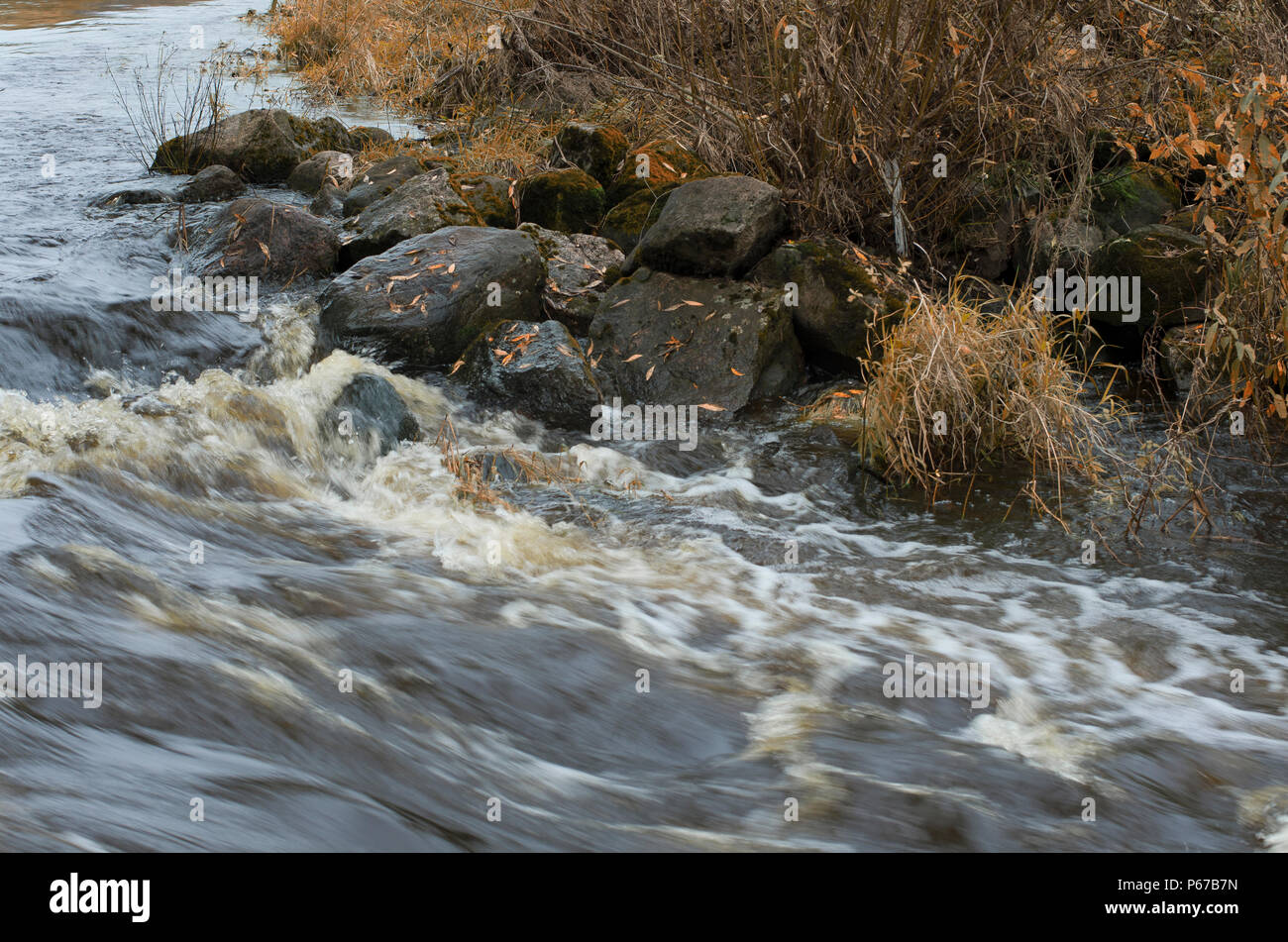 Herbst turbulenten Fluss fließen und Felsbrocken mit Laub am Ufer des Flusses Stockfoto