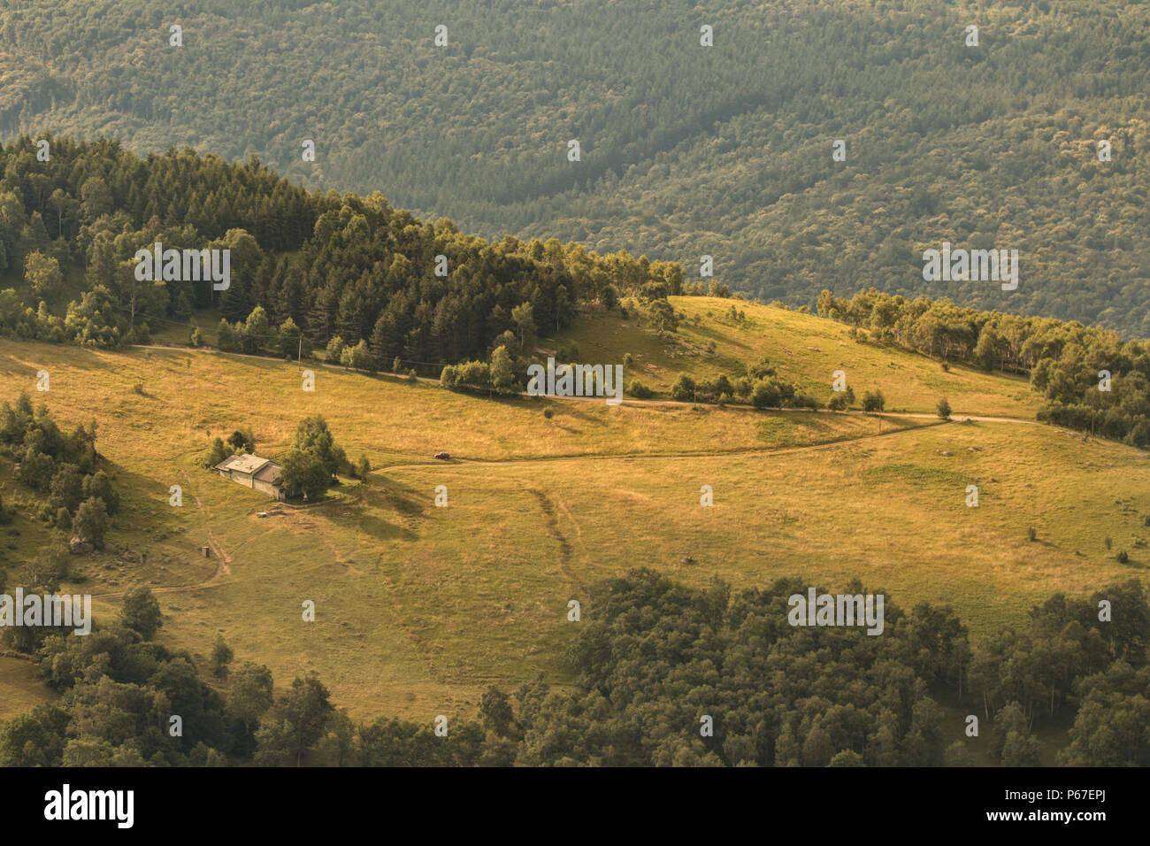 Morgen Wald Landschaft Berge des Piemont, Piemont, Italien Stockfoto