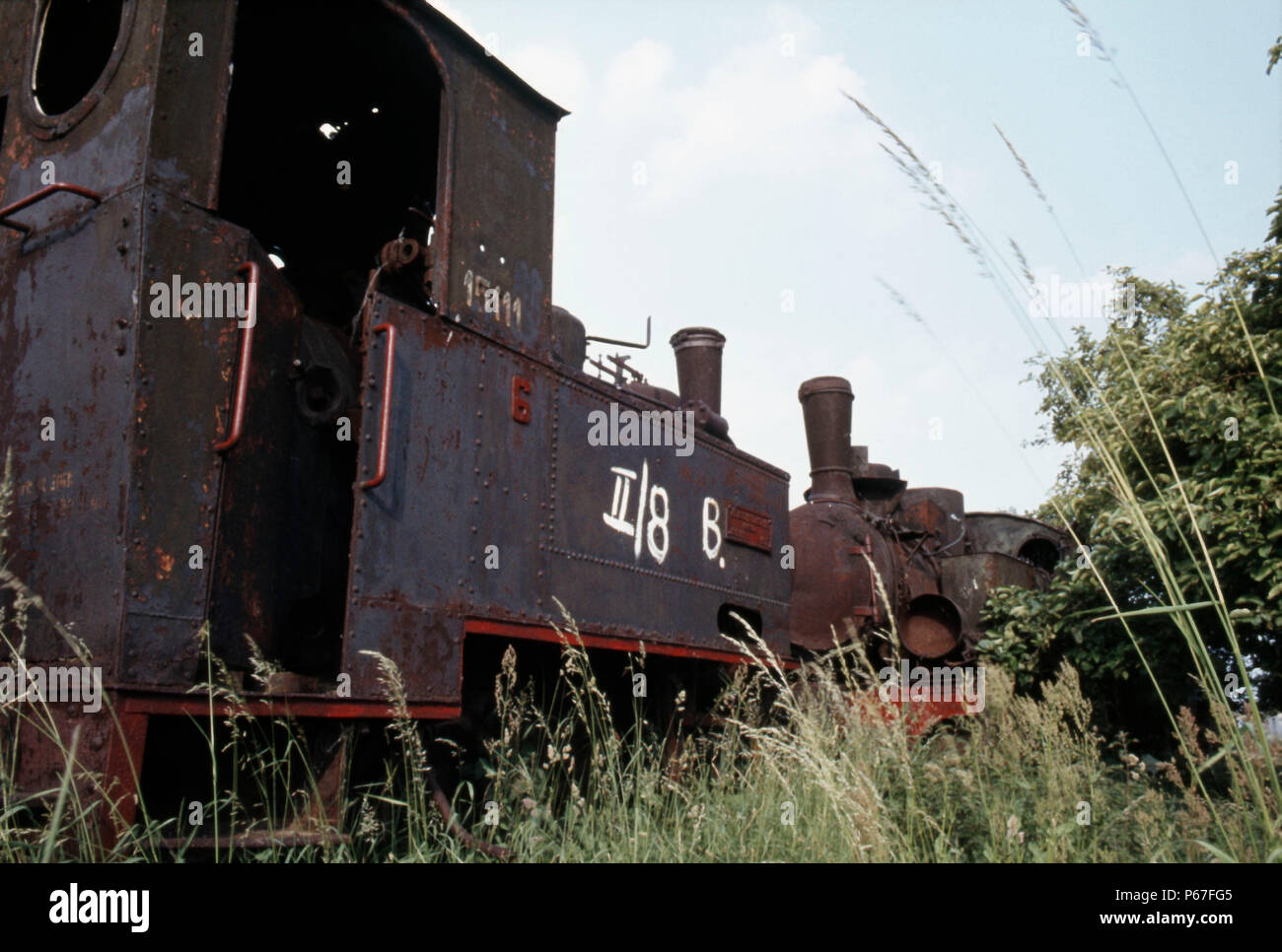 Verfallenes 600 mm Schmalspurlokomotiven in Wenecja in Polen. Henschel 0-6-0 T links Nr. 6 22962 von 1917 und rechts Tyb 5 Klasse 0-6-2T Nr. 471. Bild vom Do. Stockfoto