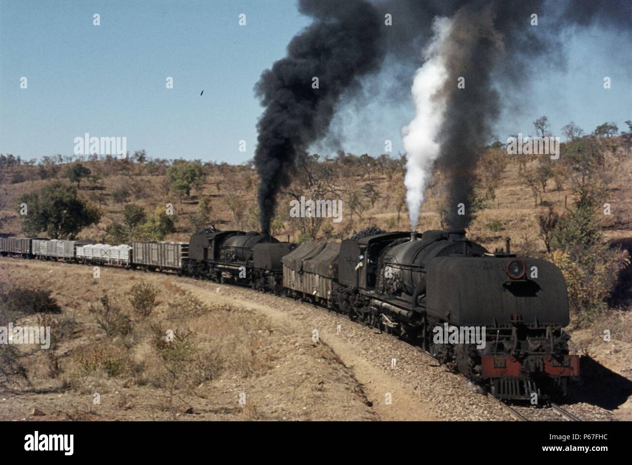 Doppel Rhodesian 16 eine Klasse 2-8-2 + 2-8-2 Garratt Nr. 625 + 645 Kopf Zug Nr. 304 in der Nähe von Mulungwane auf der Bulawayo zu West Nicholson Linie auf Tu geleitet Stockfoto