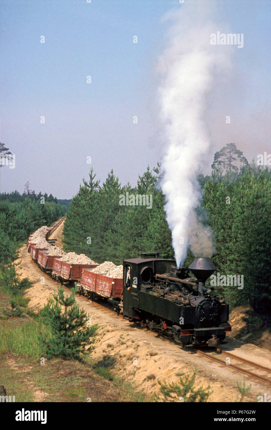 Deutschlands Letzte Änderung am Mittwoch, 29. Juni 1977 aktiv 600 mm Feldbahn 0-8-0T Nr. 993316 auf dem Ton Tragesystem in Bad Muskau. Es gab das Feld Stockfoto