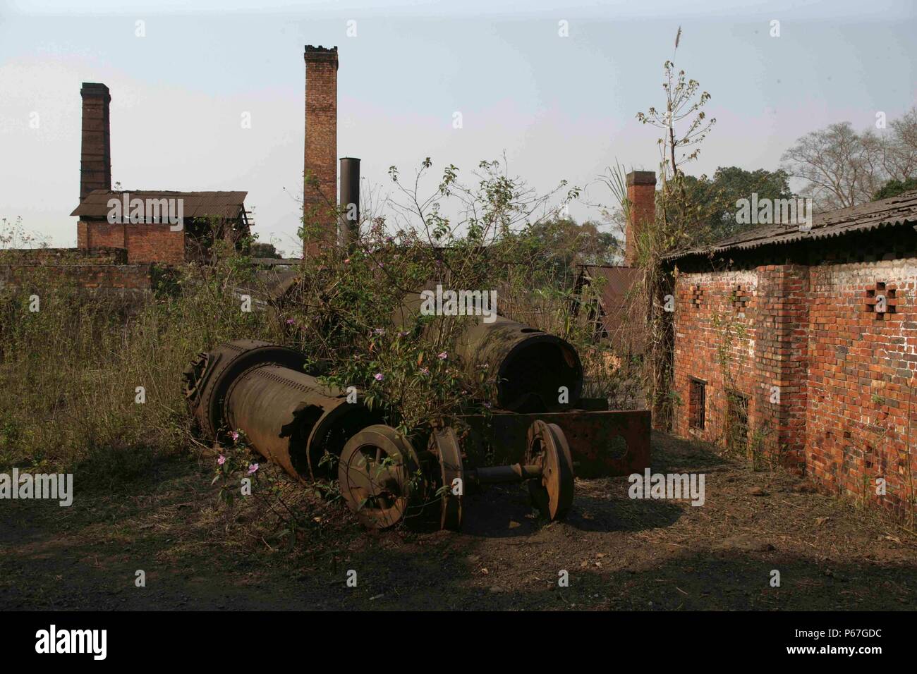Ledo Ziegelei Assam mit Resten von Bagnall 600 mm Spurweite0-4-0 STs nach der Schließung. März 2007. Stockfoto