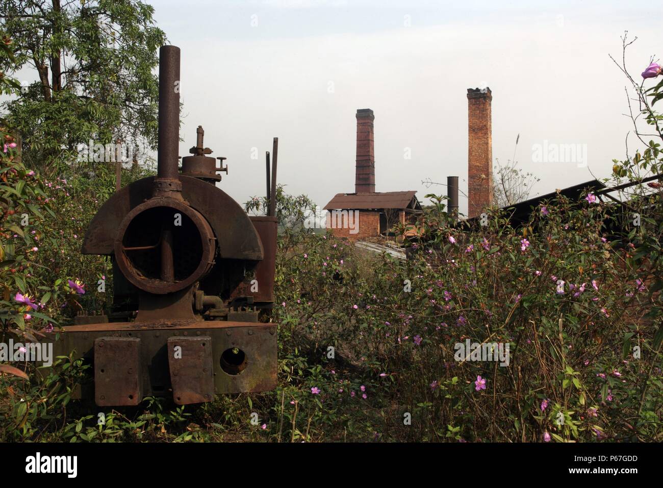 Ledo Ziegelei in Assam nach Schließung mit einem 2'0' Manometer Bagnall 0-4-0 ST aufgegeben gegen die Wartung/Bewässerung Punkt am Sonntag, den 25. März 2007 Stockfoto