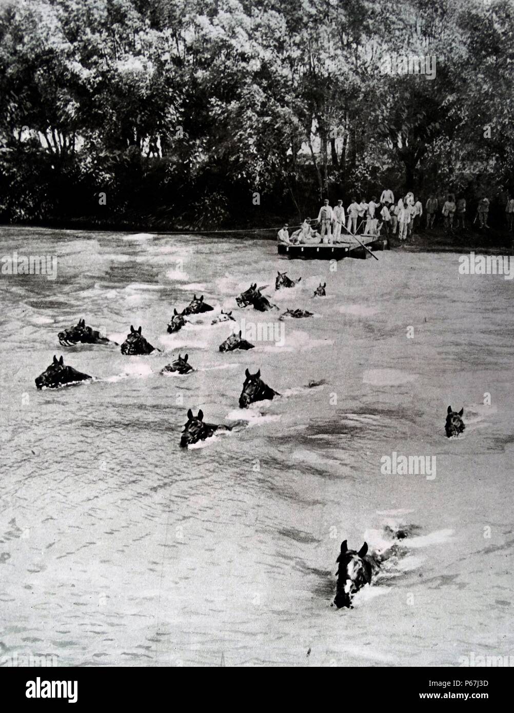 Französischen Ingenieure ermöglicht die Überquerung des Soldaten und Pferde über einen Fluss während Weltkrieges einer Stockfoto