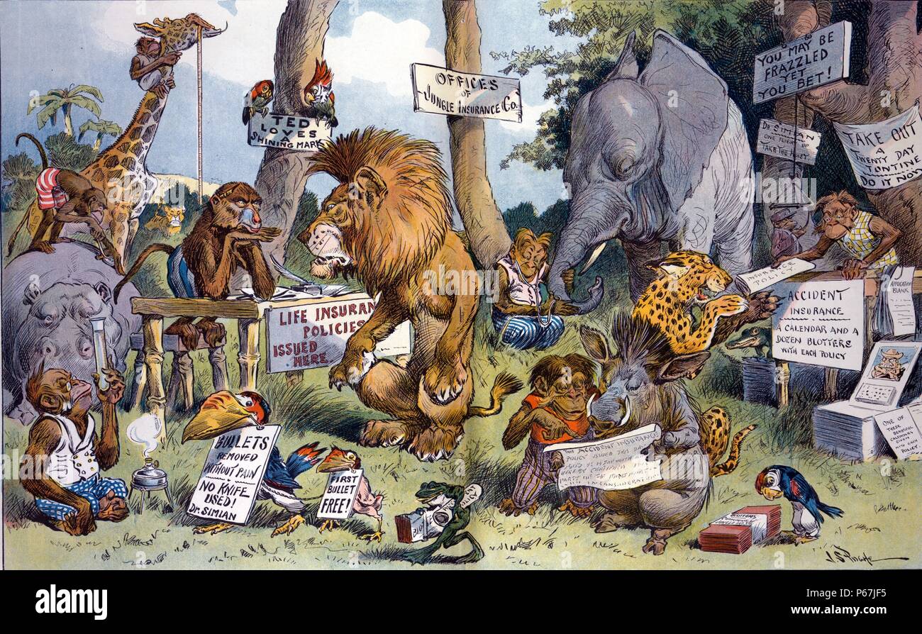 Anti-Roosevelt Politik" Wilde Tiere kauf Lebensversicherungen in Erwartung des grossen Spiels Jagdausflüge jetzt, dass Theodore Roosevelt ist nicht mehr Präsident. Stockfoto