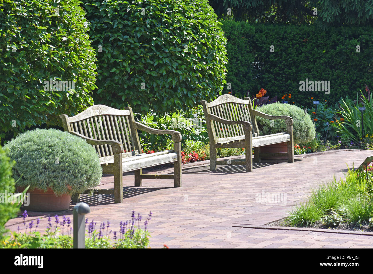 Zwei hölzerne Bänke im Garten Stockfoto