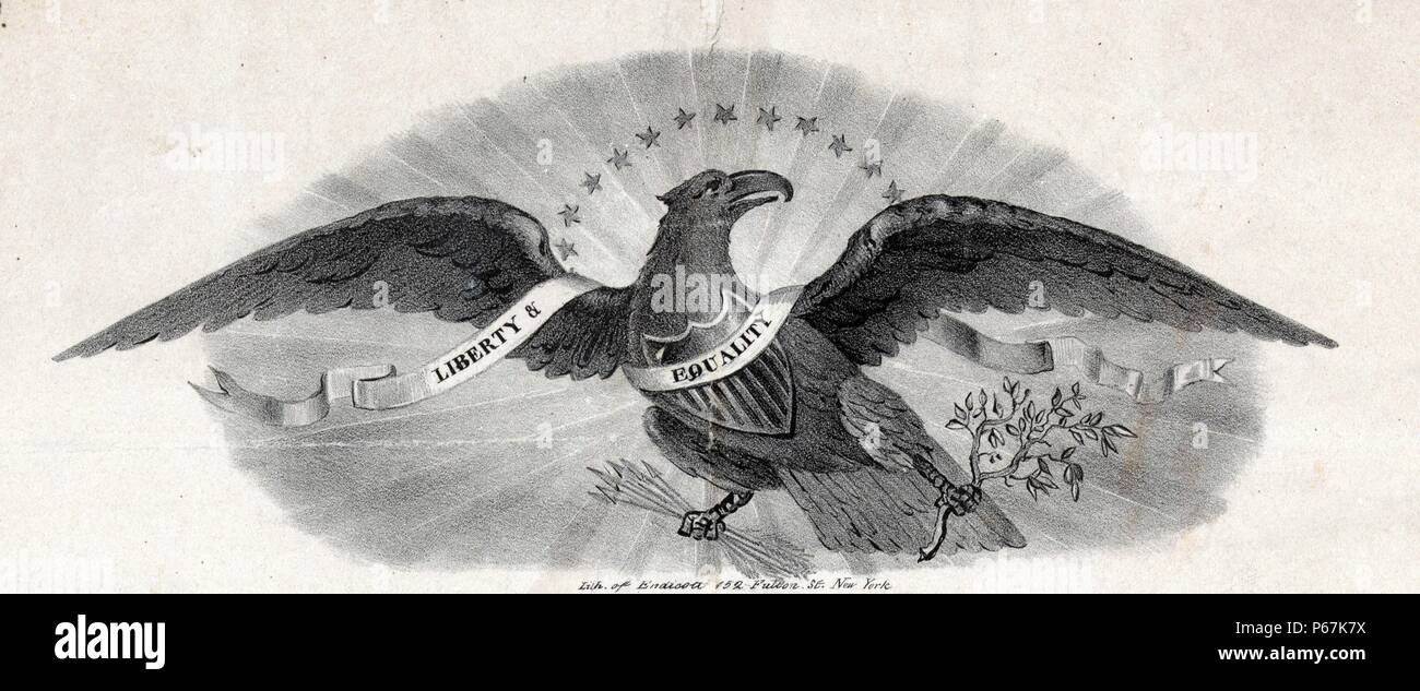 American Eagle ein Symbol für die Vereinigten Staaten von Amerika Stockfoto