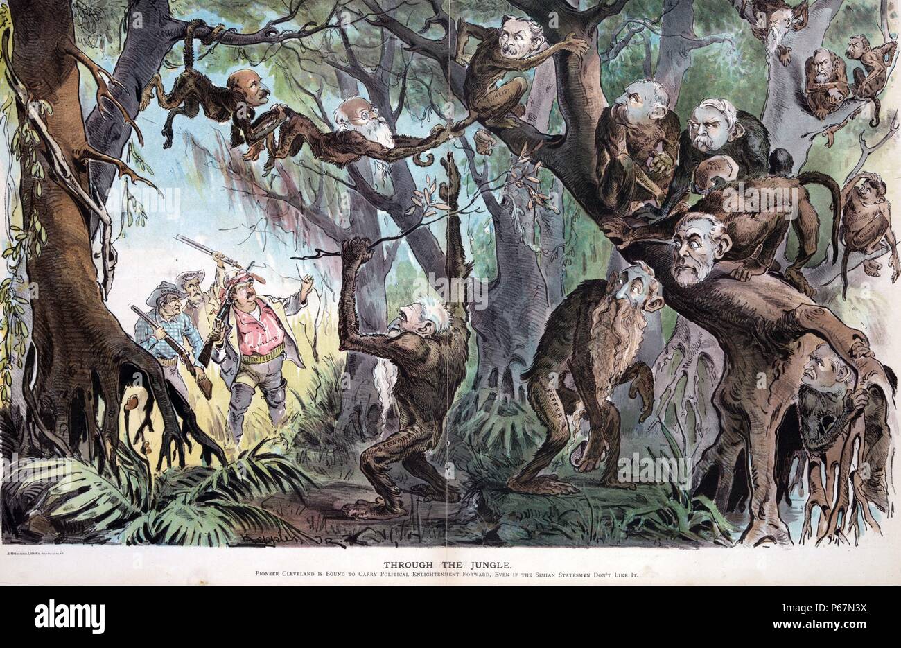 Durch den Dschungel' Präsident Cleveland als Explorer, mit Mitglieder des Kabinetts John G. Carlisle und Walter F. Gresham, in einem Dschungel, in dem sie über ein Band der Affen mit der Beschriftung 'gekommen sind. Hill, C. Dana, W. Reid, Blackburn, Weste, Jones, Pugh, Foraker, Wolcott, Teller, Morgan, Peffer, [und] Stewart'. Stockfoto